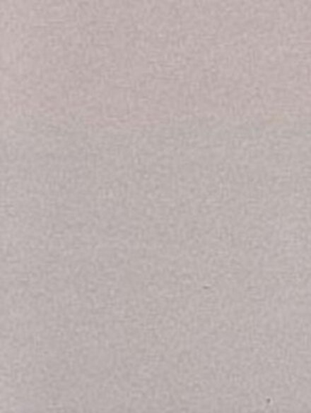 Social Foundations of Thought and Action