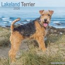 Lakeland Terrier Calendar 2026  Square Dog Breed Wall Calendar - 16 Month