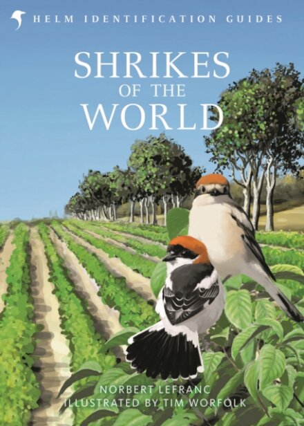 Shrikes of the World