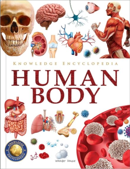 Knowledge Encyclopedia Human Body