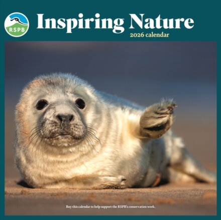 Rspb Inspiring Nature Photo Competition