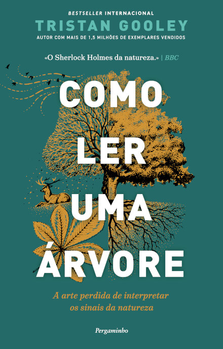 Como Ler uma Árvore