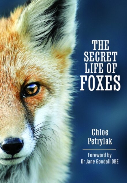 The Secret Life of Foxes