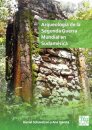 Arqueologia de la Segunda Guerra Mundial en Sudamerica