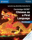 Cambridge IGCSE Chinese as a First Language Workbook