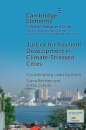 Justice for Resilient Development in Climate-Stressed Cities