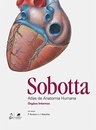 Sobotta Atlas De Anatomia Humana 3