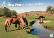 New Forest A4 Calendar 2026