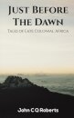 Just Before the Dawn