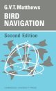 Bird Navigation