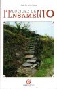 Lucidez De Pensamento