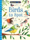 Birds To Spot