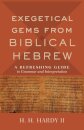 Exegetical Gems from Biblical Hebrew