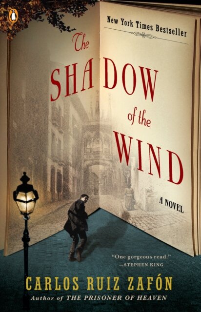 The Shadow Of The Wind Book 1