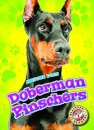 Doberman Pinschers