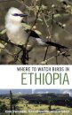 Where to Watch Birds in Ethiopia