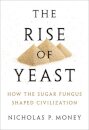 The Rise of Yeast