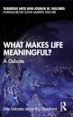 What Makes Life Meaningful?