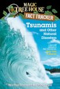 Tsunamis and Other Natural Disasters