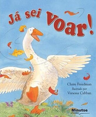 Já Sei Voar!