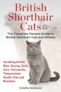British Shorthair Cats, The Complete Owners Guide to British Shorthair Cats and Kittens Including British Blue, Buying, Daily Care, Personality, Temperament, Health, Diet and Breeders