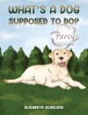 What's a Dog Supposed to Do?