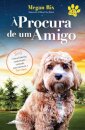 À Procura de um Amigo
