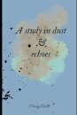 A study in dust and echoes