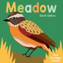 Now you See It! Meadow