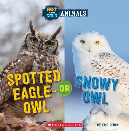 Spotted Eagle-Owl or Snowy Owl (Wild World: Hot and Cold Animals)