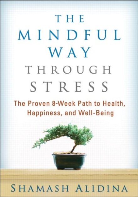 The Mindful Way through Stress