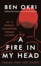 A Fire In My Head