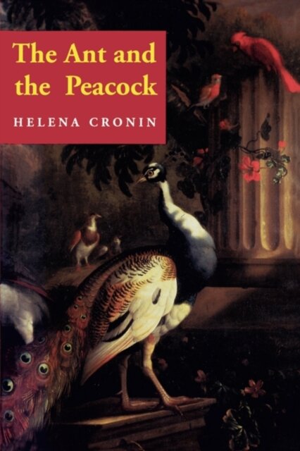 The Ant and the Peacock