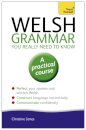 Welsh Grammar You Really Need to Know: Teach Yourself