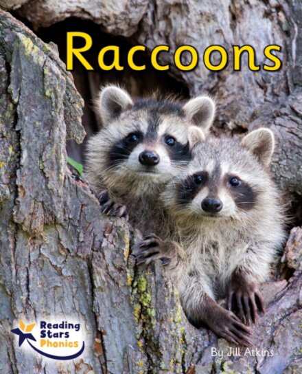 Raccoons
