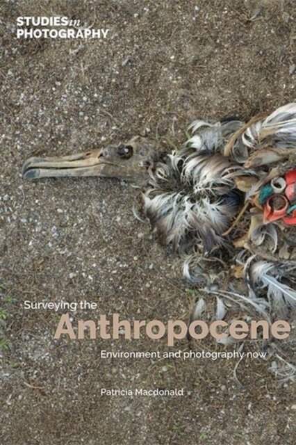 Surveying the Anthropocene: