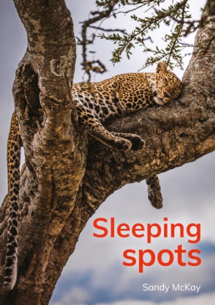 Sleeping spots
