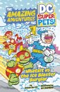 Whatzit vs the Ice Blaster Burglar