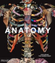 Anatomy: Exploring The Human Body