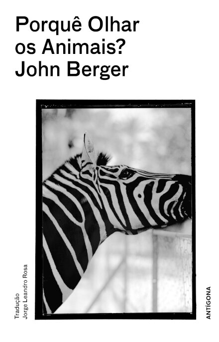 Porquê Olhar os Animais?