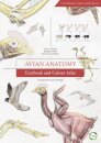 Avian Anatomy 2nd Edition