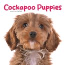 Cockapoo Puppies Square Mini Calendar 20