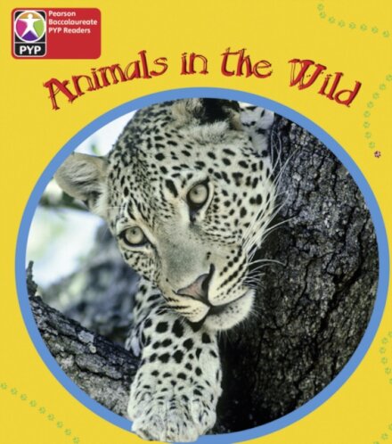 PYP L1 Animals in the Wild single