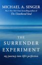 The Surrender Experiment : My Journey into Life's Perfection
