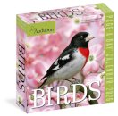 Audubon Birds Page-A-Day® Calendar 2026
