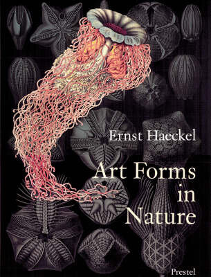 Art Forms In Nature Prints Ern