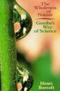 The Wholeness of Nature
