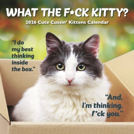 What The Fck Kitty Square Wall Sunday St