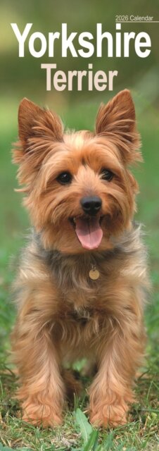 Yorkshire Terrier Slim Calendar 2026  Dog Breed Slimline Calendar - 12 Month