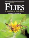 Flies